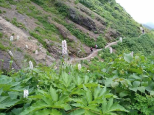 砂防新道