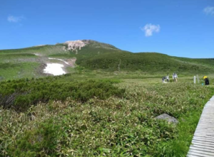 弥陀ヶ原木道を進んだ先に上に上る道(五葉坂)