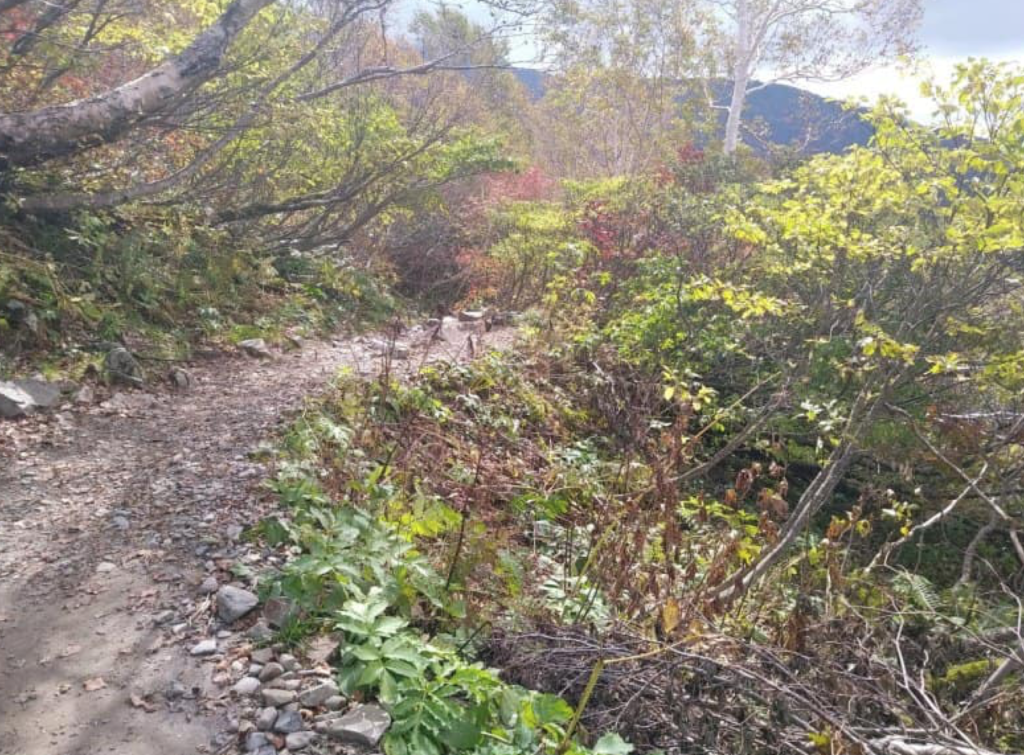秋:砂防新道(さぼうしんどう)