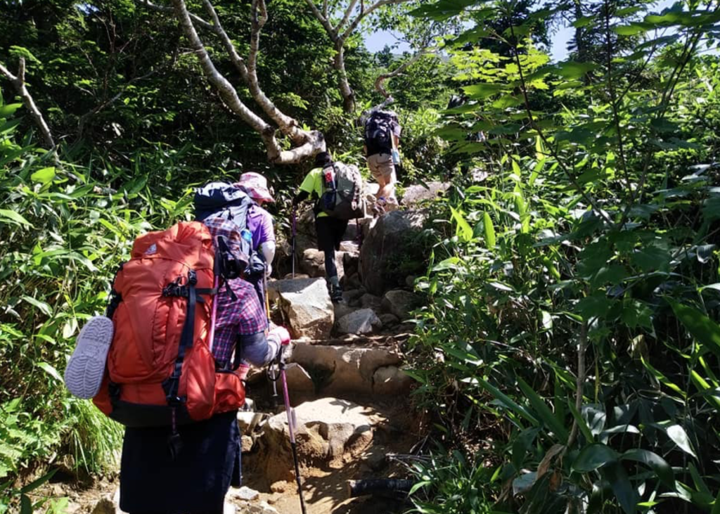 夏:砂防新道