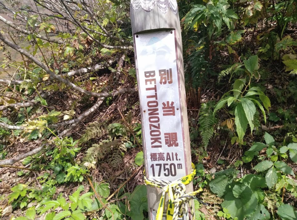 秋:別当覗