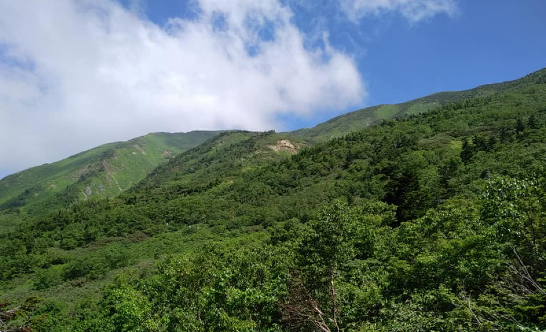 霊峰白山・登山道前半