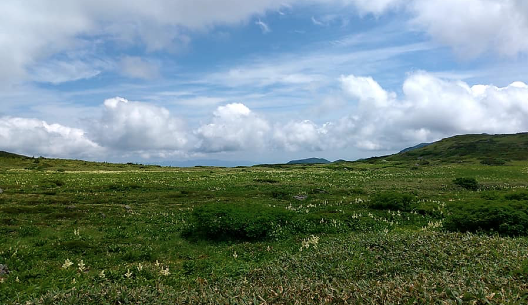 白山弥陀ヶ原