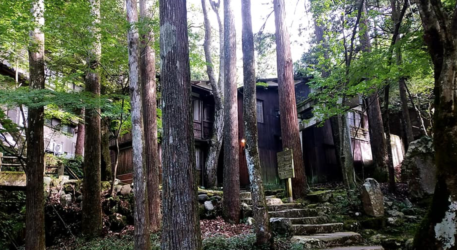 森の中にあるビーフシチュー屋