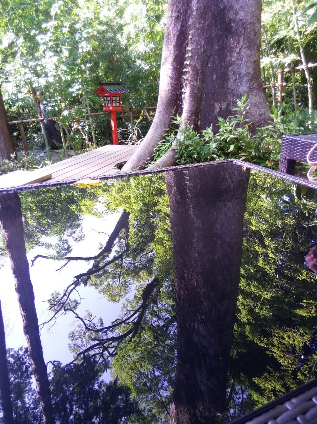来宮神社